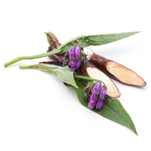 Allatoin - la composition du spray Hondrox